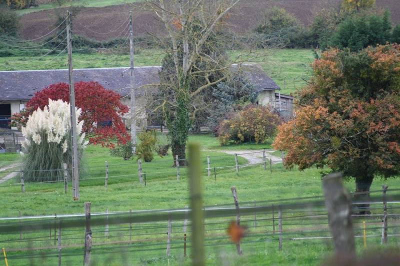 Immobilier Equestre en Normandie