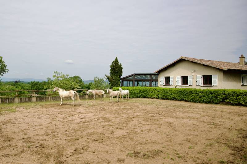 Propriété équestre dans le Rhône