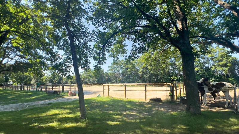 Somptueuse propriété équestre située dans l'Aude