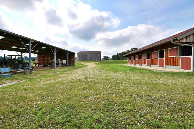 Propriété équestre à vendre dans l'Ain