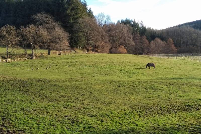 Charmante propriété équestre déployée sur plus de 45 hectares