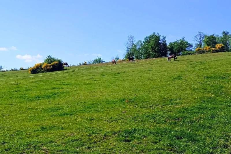 Charmante propriété équestre déployée sur plus de 45 hectares