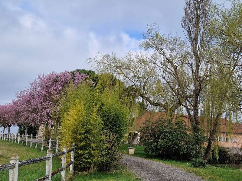Haras d'élevage d'exception niché au sein d'un domaine sécurisé de 39 hectares situé en Bourgogne du Sud