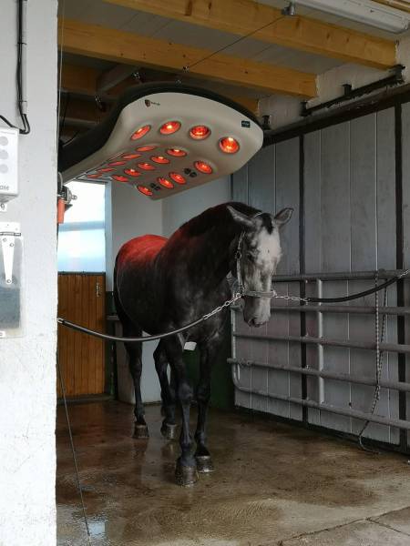 Haras d'élevage d'exception niché au sein d'un domaine sécurisé de 39 hectares situé en Bourgogne du Sud
