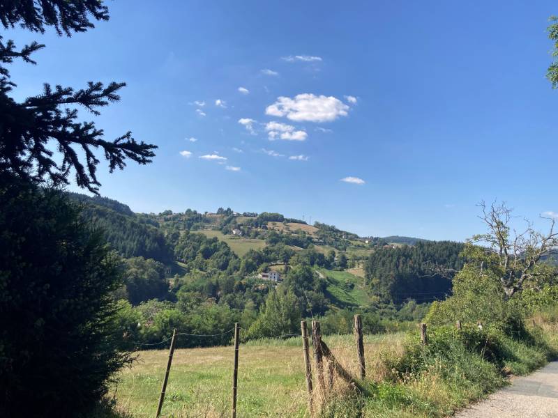 Cours - Terrain d'1 hectare dont 5 100m² TAB constructibles avec vue panoramique