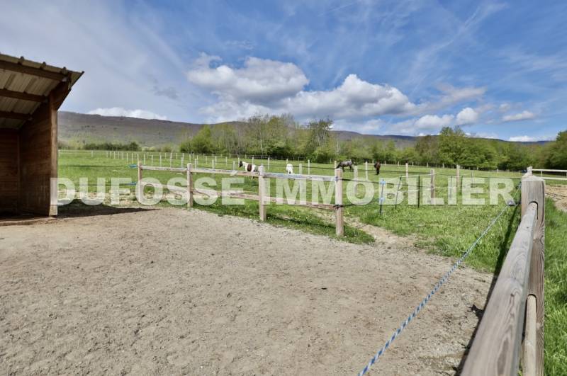 Propriété équestre à vendre France