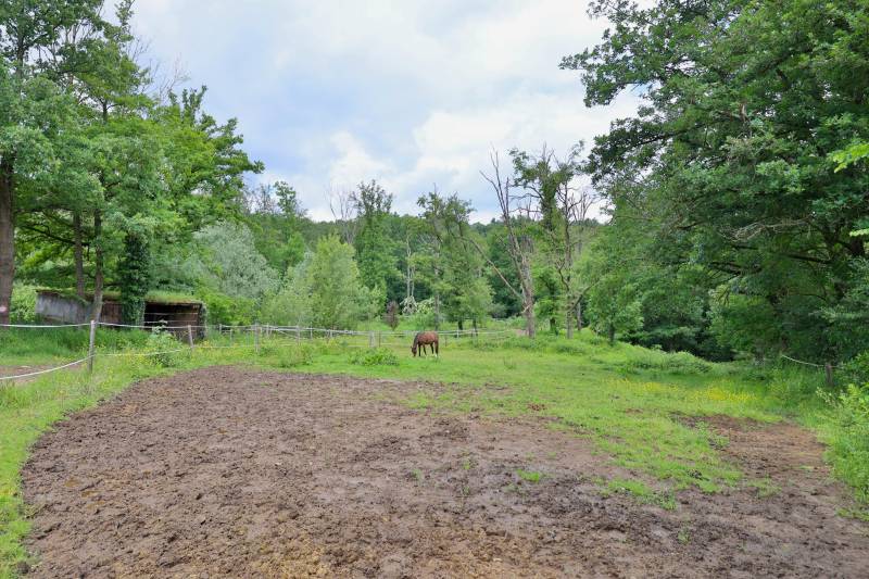 Aux portes de Lyon : Propriété équestre clé en main de 8 hectares