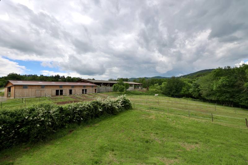 Aux portes de Lyon : Propriété équestre clé en main de 8 hectares