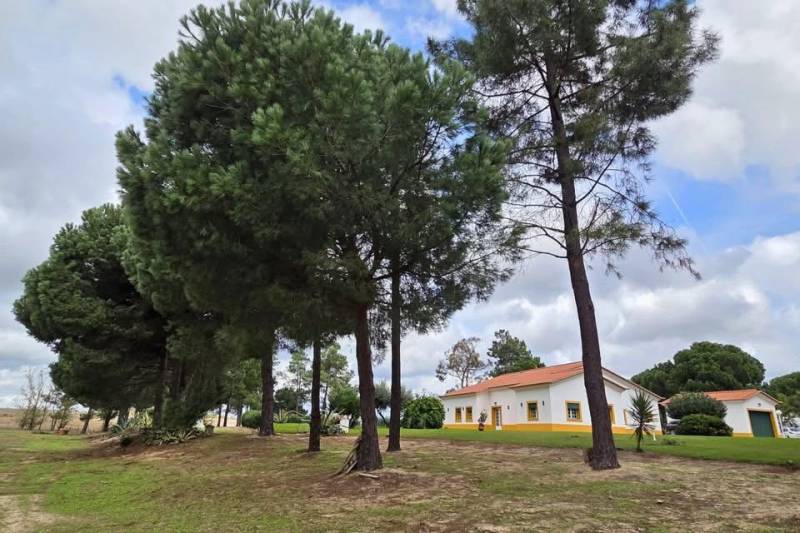 Portugal : Quinta équestre de 6,3 hectares