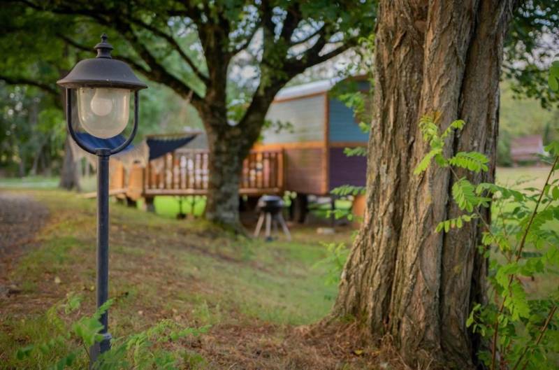 Petit coin de Paradis de 15 hectares dans le département de la Vendée