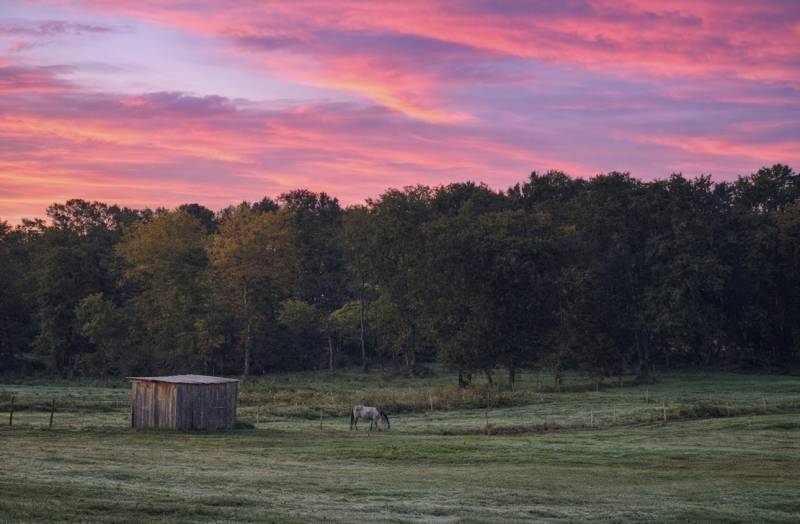 À 45min de Biarritz : Charmante propriété équestre de 5 hectares