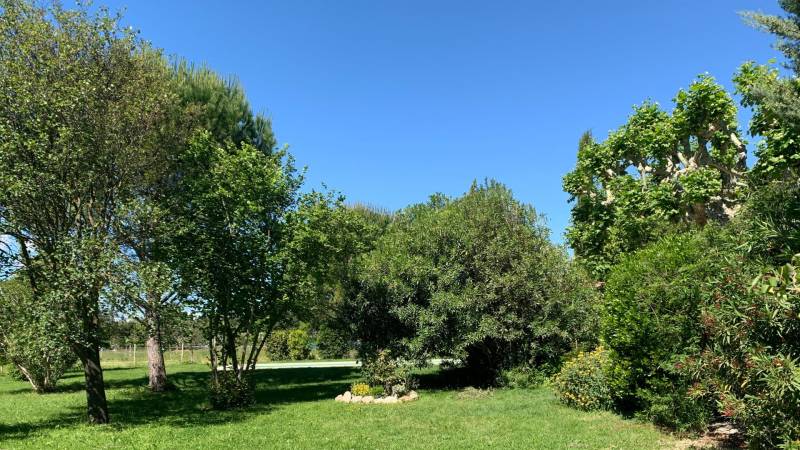 Mas provençal de caractère avec installations équestres - Alpilles