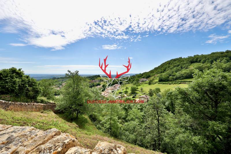 Vue panoramique de la maison sur la chaîne des Alpes, la plaine de l'Ain et les Monts d'Or