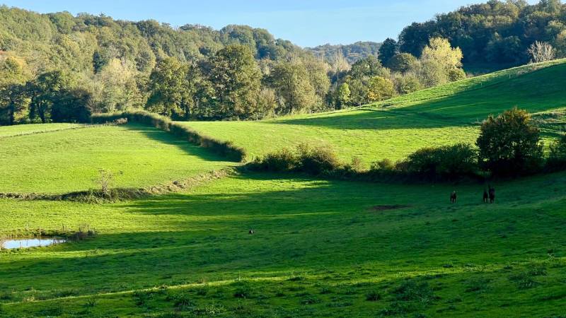 Propriété équestre de 32ha dans le Lot