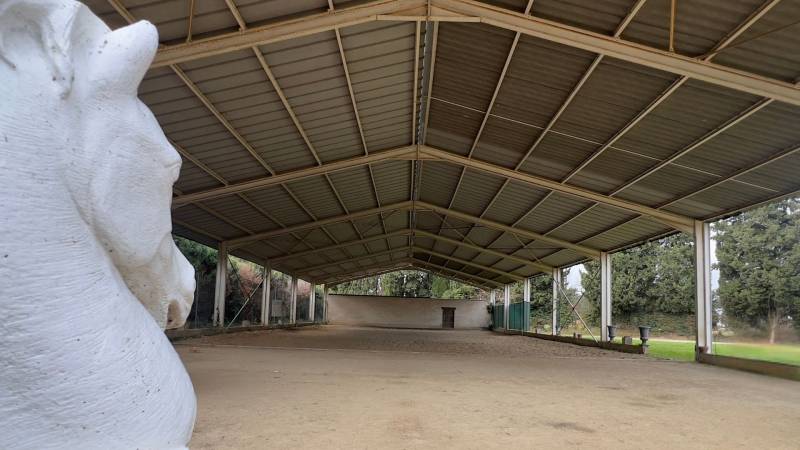 Au pied des Alpilles : mas de charme avec installations équestres