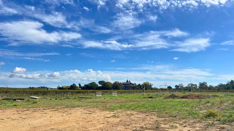 Structure équestre de 2,4ha située dans l' Hérault  nichée au coeur des vignes
