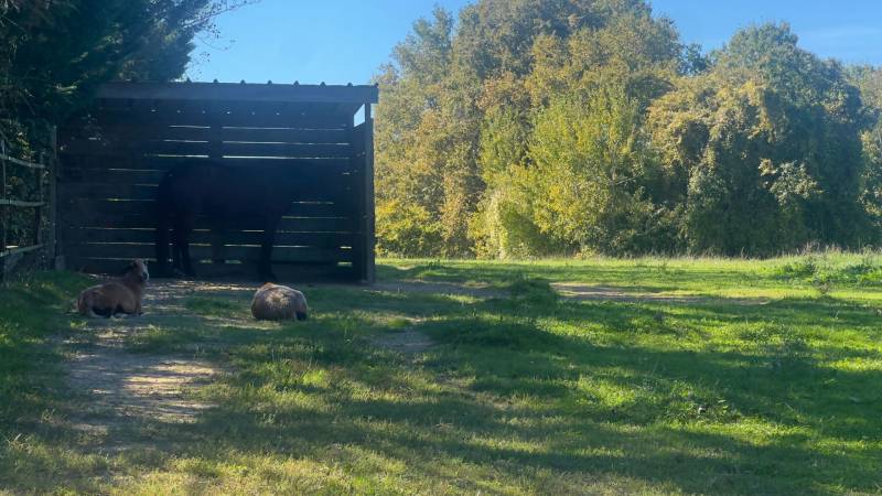Propriété insolite de 5 hectares au coeur du Gers