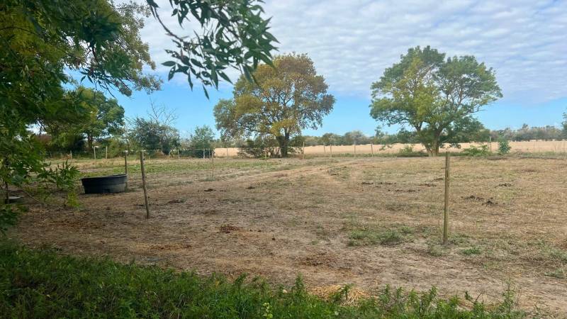 Propriété équestre dans l'Aude 