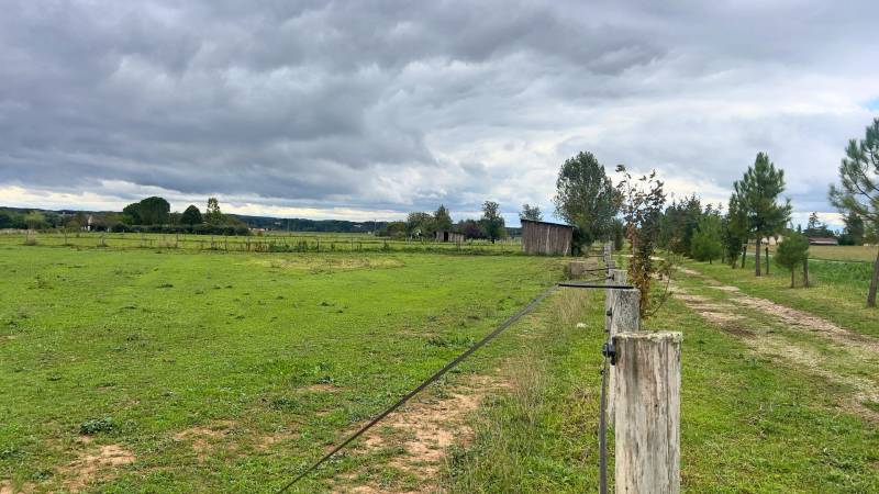 Propriété équestre de 9ha dans le Tarn