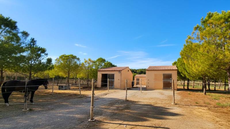 Hérault : propriété équestre rare sur 4,5 hectares