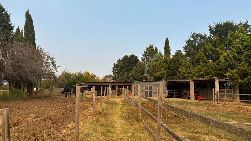 Un domaine d’exception au cœur du Lauragais (11)