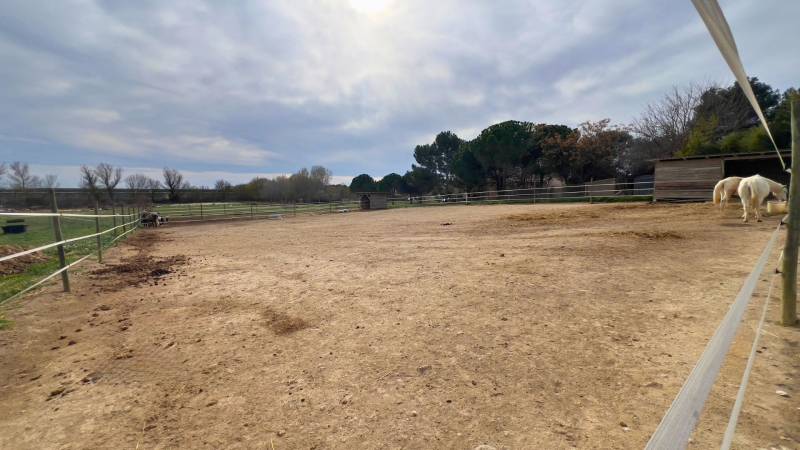 Propriété équestre Hérault 