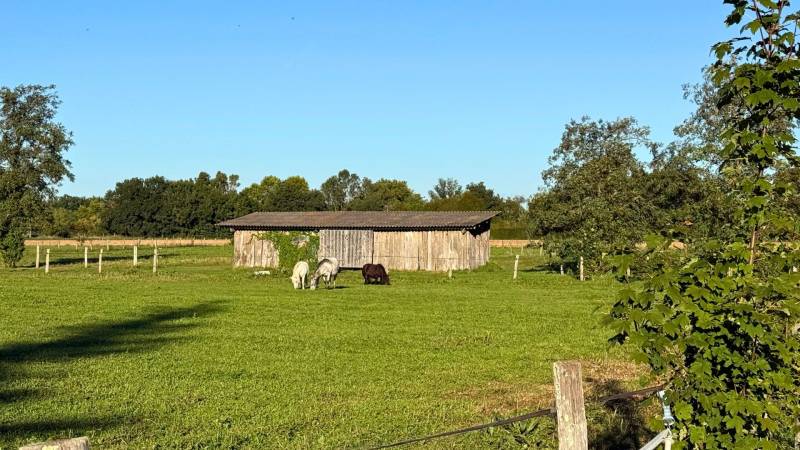 Propriété équestre de 9ha dans le Tarn