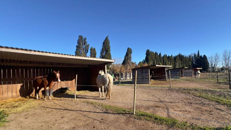 Mas provençal de caractère avec installations équestres - Alpilles