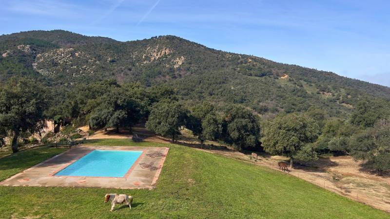 Propriété de 2 hectares proche Golfe de St-Tropez 