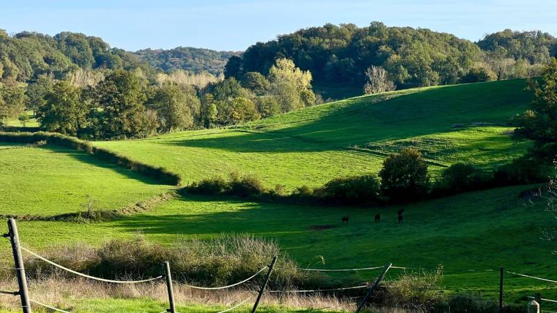 Propriété équestre de 32ha dans le Lot