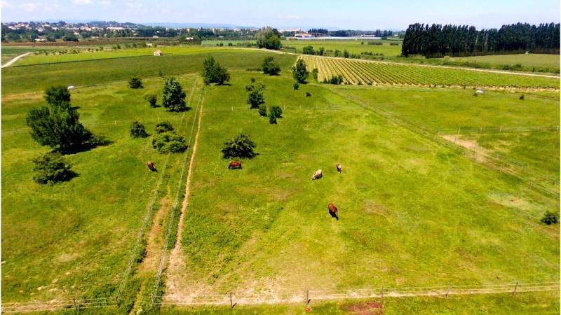 Exclusivité - Propriété équestre d’exception au coeur du Gard, entre Cévennes et Provence