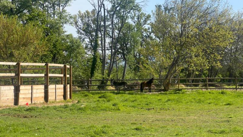 Entre provence et Luberon, Somptueuse propriété de charme