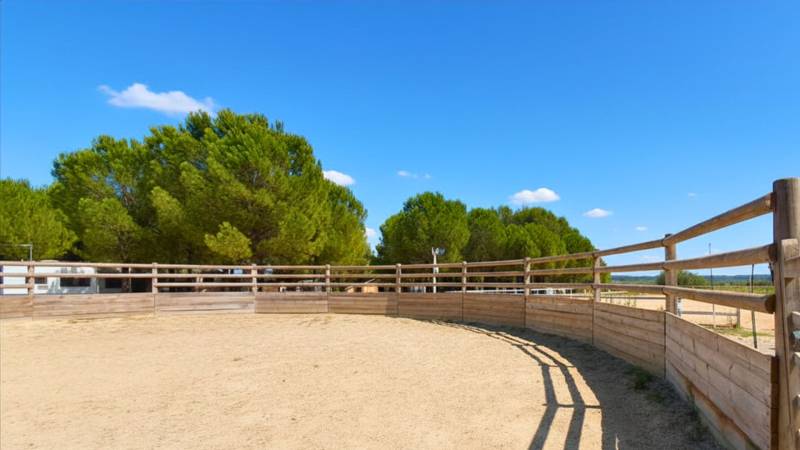Hérault : propriété équestre rare sur 4,5 hectares