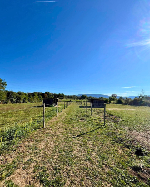 Propriété équestre de caractère de 2 hectares située dans l'Isère