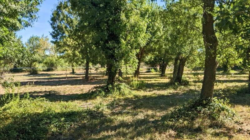 Propriété équestre de 5,7 hectares située dans les Bouches-du-Rhône