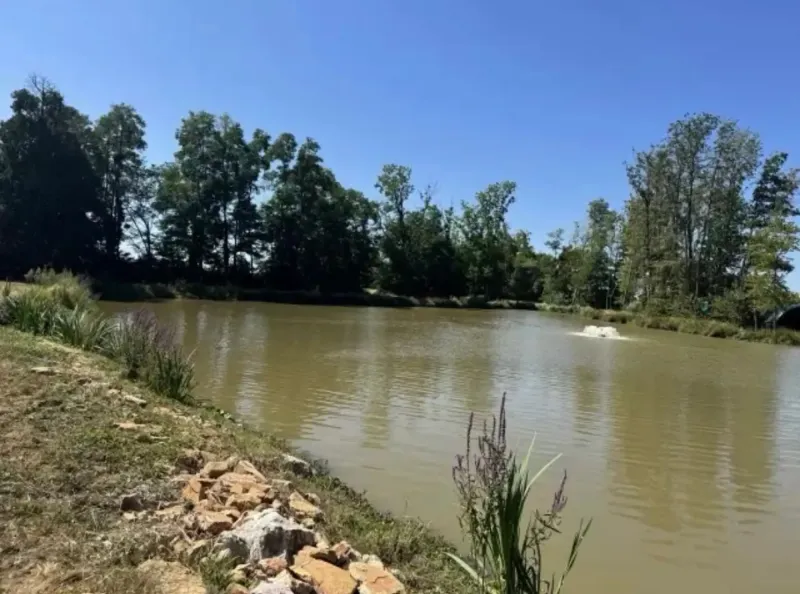 Maison bressane rénové – Étang privé, piscine et plus de 2 hectares de terrain