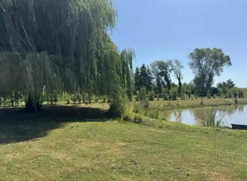 Maison bressane rénové – Étang privé, piscine et plus de 2 hectares de terrain
