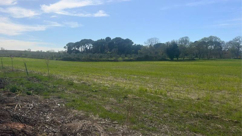 Hérault : terrain agricole de 4,5 hectares à fort potentiel